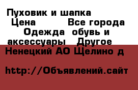 Пуховик и шапка  Adidas  › Цена ­ 100 - Все города Одежда, обувь и аксессуары » Другое   . Ненецкий АО,Щелино д.